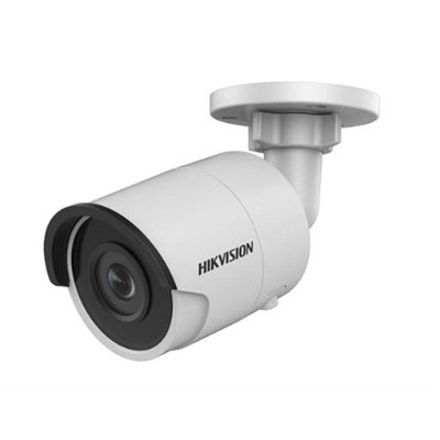 Hikvision DS-2CD2055FWD-I (IP Cameras)